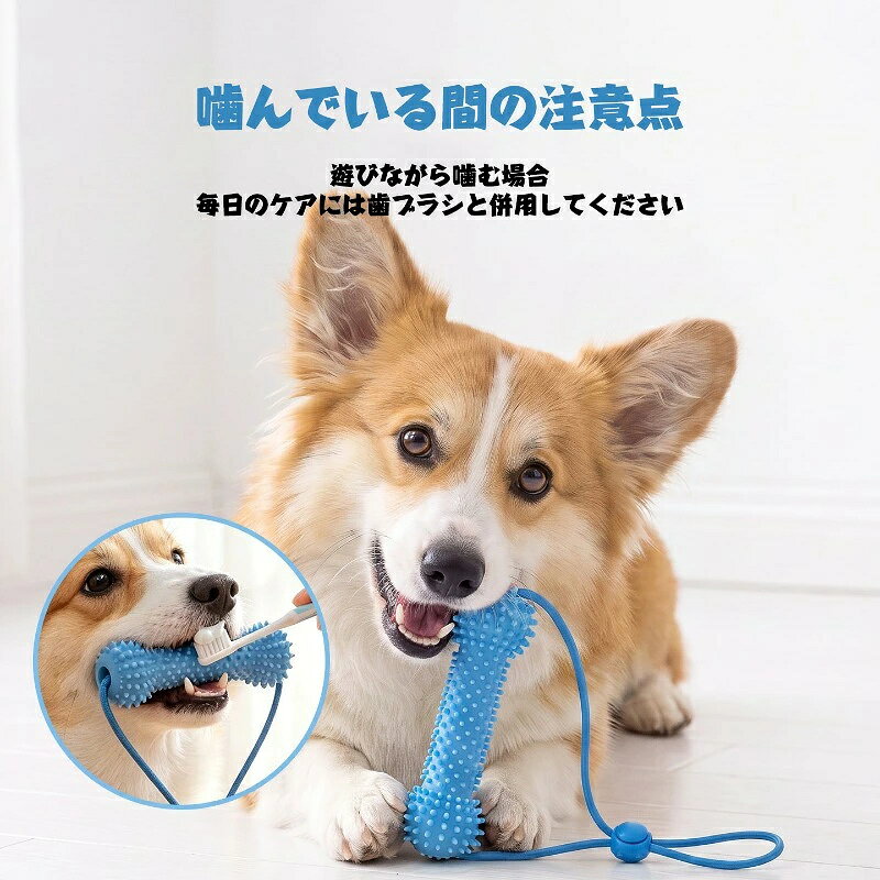【商品番号】y120168 注意事項: これは、愛犬の歯磨きや口腔衛生の維持をサポートするために設計されたツールです。 口を触られるのを嫌がる、奥歯を磨くのが難しいといった、飼い主様が直面しがちな課題を効果的に解決します。 歯や歯茎の状態をはっきりと確認できるため、愛犬に負担をかけることなく、毎日の歯磨きをスムーズに行うことができます。 歯ブラシやその他のオーラルケア用品と併用することで、日々のケアがより一層快適で手軽なものになります。 愛犬にとってより快適な歯磨きタイムにしたいと考えている飼い主様に、特におすすめの製品です。 平置き素人採寸ですので多少の誤差はご容赦下さい。 モニタ環境によって、商品の色合いが多少違う場合があります。 少々匂いがありますが、置いたままで2-3日くらいになくなりますので、ご安心ください。 発送時も簡易梱包の為、お受け取り時にたたみ皺が有ると思いますが、ご了承ください。 海外輸送品のため、外箱に一部へこみや傷などがある場合がございます。あらかじめご了承ください。 ご使用のモニターやスマートフォンの環境によって商品画像と実物の商品の色合いや質感が異なる場合がございます。【商品番号】y120168 注意事項: これは、愛犬の歯磨きや口腔衛生の維持をサポートするために設計されたツールです。 口を触られるのを嫌がる、奥歯を磨くのが難しいといった、飼い主様が直面しがちな課題を効果的に解決します。 歯や歯茎の状態をはっきりと確認できるため、愛犬に負担をかけることなく、毎日の歯磨きをスムーズに行うことができます。 歯ブラシやその他のオーラルケア用品と併用することで、日々のケアがより一層快適で手軽なものになります。 愛犬にとってより快適な歯磨きタイムにしたいと考えている飼い主様に、特におすすめの製品です。 平置き素人採寸ですので多少の誤差はご容赦下さい。 モニタ環境によって、商品の色合いが多少違う場合があります。 少々匂いがありますが、置いたままで2-3日くらいになくなりますので、ご安心ください。 発送時も簡易梱包の為、お受け取り時にたたみ皺が有ると思いますが、ご了承ください。 海外輸送品のため、外箱に一部へこみや傷などがある場合がございます。あらかじめご了承ください。 ご使用のモニターやスマートフォンの環境によって商品画像と実物の商品の色合いや質感が異なる場合がございます。