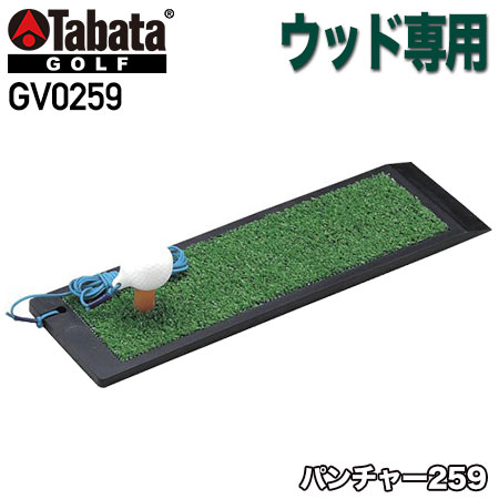 【スイング練習】Tabata GOLF タバタ GV0259 パンチャー259 ショット練習器具