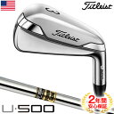 タイトリスト U-SERIES U500 アイアン型ユーティリティ (ダイナミックゴールド スチールシャフト) USA直輸入品【Titleist Utility Iron】【ユーティリティアイアン】【U-SERIES】【U500】【アダム・スコット】 その1