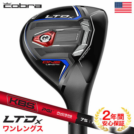 楽天市場】ltdx ワンレングス アイアン usの通販