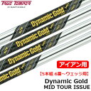 楽天JYPER’S（ジーパーズ）トゥルーテンパー DynamicGold ダイナミックゴールドMID ツアーイシュー アイアン用スチールシャフト 5本組 6番～ウェッジ用 ゴルフシャフト 中元調子 DG MID