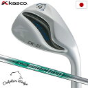 キャスコ メンズ ゴルフグッズ キャスコ DOLPHIN WEDGE DW-123 ウェッジ ストレートネック メンズ 右用 N.S.PRO 950GH neo スチールシャフト KASCO 2023年モデル 日本正規品