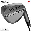 タイトリスト VOKEY SM10 ウェッジ メンズ 右用 ニッケル仕上げ DG，BV105，NS950GHneo スチールシャフト 日本正規品 2024年モデル