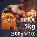 料無料 BCAA 5kg（500g×10）国産 無添加 無加工 500g×10個　筋トレ トレーニング ボディメイク ダイエット バルクアップ