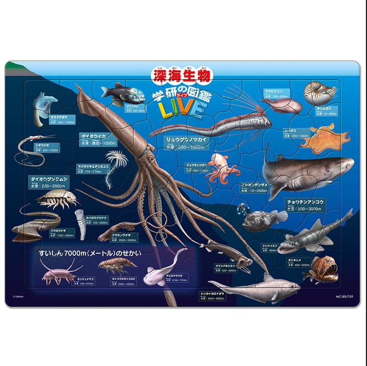 子供用パズル 深海生物図鑑（学研の図鑑LIVE） 80ピース テンヨー TEN-MC80-759 パズル Puzzle 子供用 幼児 知育玩具 知育パズル 知育 ギフト 誕生日 プレゼント 誕生日プレゼント