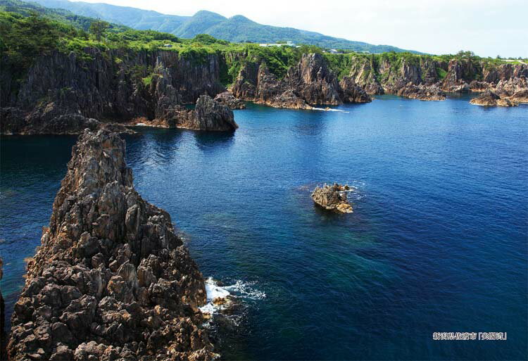 ���������ѥ��� ���㸩���ϻԡ������ѡ� 300�ԡ��� ���塼�ƥ����� CUT-300-326 �ѥ��� Puzzle ���ե� ������ �ץ쥼���