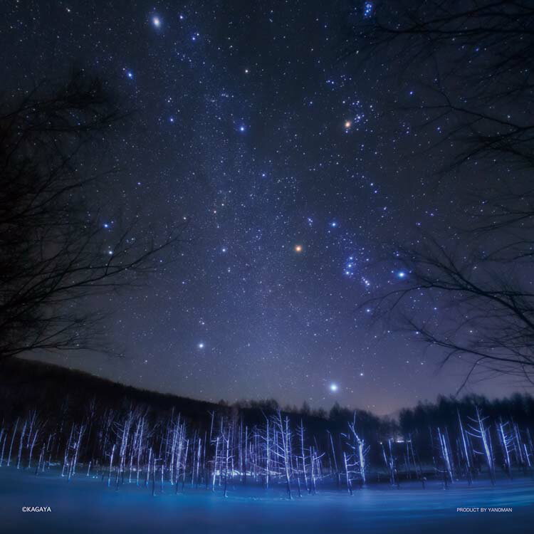 ジグソーパズル スクエアパズル 美瑛に降る星のダイヤモンド（北海道） 306ピース 風景 やのまん YAM-36-10 パズル Puzzle ギフト 誕生日 プレゼント