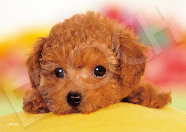 ジグソーパズル あそばないの？ 108ピース エポック社 EPO-03-095 パズル Puzzle ギフト 誕生日 プレゼント