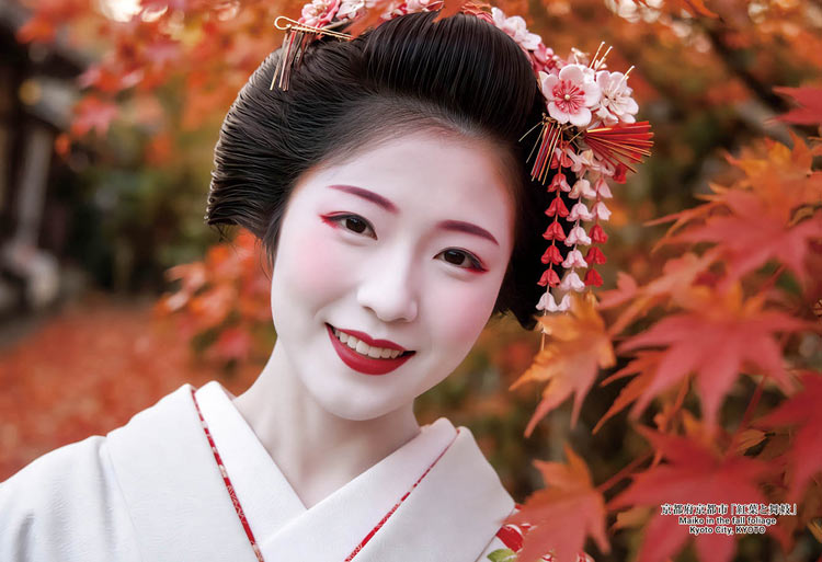 商品名京都府京都市「紅葉と舞妓」 ピース数300 ピースサイズ通常ピースサイズ サイズ26×38cm 品 番CUT-300-484 メーカーキューティーズ 商品説明この商品は予約商品となります。11月16日発売予定。 日本の都市 その土地にかかわる風景や物なども含めて有名なものをパズルにしました。 シリーズ・日本の都市　ーパズルで日本を愉しむー 地元民だけが知っている場所や物、食べ物やしきたりなどその土地土地でこそパズルにして楽しみたいというものは誰にでもあるはずでそれに近いものをチョイスしていくそこの出身者や現地在住者向けのシリーズです。 ●舞妓は京都の花街文化を象徴する存在であり、伝統芸能の継承者として重要な役割を担っている。 ●京都の象徴としての舞妓 名神高速道路での標識（京都市への距離表示・京都府・京都市のカントリーサイン）に舞妓の姿が描かれたり、京都観光を題材としたCMに舞妓や舞妓の扮装をした観光客が登場したりするなど、舞妓は「京都」の象徴とされることも多い。 補 足【ジグソーパズル】【人物】【300-500】【202611】【色：ホワイト】【色：レッド】