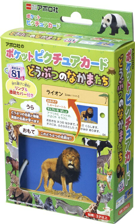 おもちゃ どうぶつのなかまたち アポロ社 APO-08-305 子供用 幼児 知育 ギフト 誕生日 プレゼント 誕生日プレゼント あす楽対応