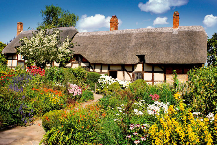 ジグソーパズル アン・ハサウェイのフラワーガーデン 2016ピース エポック社 EPO-23-603 パズル Puzzle ギフト 誕生日 プレゼント 誕生日プレゼント