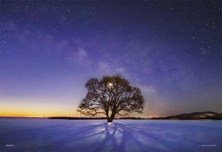 ジグソーパズル ハルニレの木と天の川（北海道） 300ピース 風景 やのまん YAM-03-906 パズル Puzzle ギフト 誕生日 プレゼント