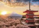 ジグソーパズル 春暁の富士山と桜 (山梨) 500ピース やのまん YAM-05-1023 パズル Puzzle ギフト 誕生日 プレゼント