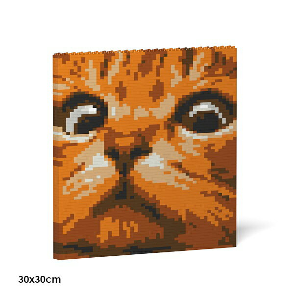 Rakuten - JEKCA ジェッカブロック パネル - 猫の目 02S-M01 Sculptor
