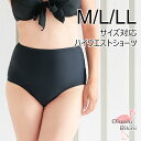 ◆ M/L/LLサイズ ◆ビキニ ショーツ 単品 無地 ハイウエストタイプ　ショーツ※こちらはショーツのみの商品です上下セットにするには別売りのブラをお買い求めください