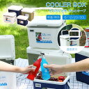★778円お得★ クーラーボックス コンパクト 6L 12L 20L 30L 温度表示 クーラーバッグ クーラーバスケット クーラーBOX 保冷バッグ 保冷 キ...