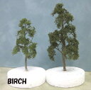 BIRCH-50 Jo̖3{