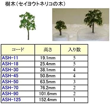 ASH-45 セイヨウトネリコ4本入り
