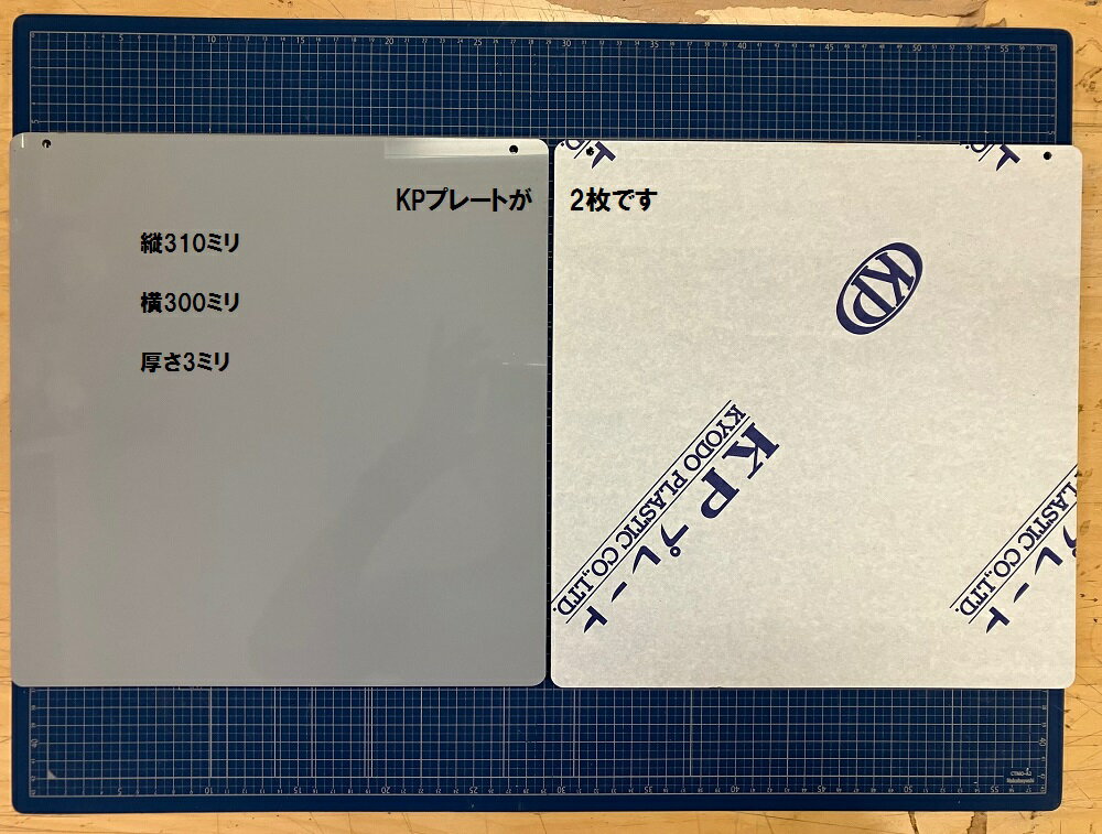 Rakuten - KP-BZR（2枚入り）塩ビ板　表示板　サイン　広告板　通路表示