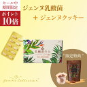 【期間限定】公式 期間限定 セット商品 ジェンヌ乳酸菌60粒 + ジェンヌクッキー カカオ 15包 おからクッキー 健康 美容 福袋 乳酸菌 サプリ カプセル ...