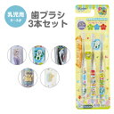 \今だけ10%OFF/ 歯ブラシ 子供用 3本 セット キャラクター 乳児 子供 赤ちゃん やわらかめ まとめ買い 歯磨き 男の子 女の子 歯ブラシセット ハブラシ はじめて 幼稚園 保育園 コンパクト 仕上げみがき やわらか こども デンタルケア 透明 クリア TBCR4T