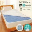 除湿シート シングル 布団 抗菌 防臭 防ダニ 防カビ 丸洗い ウォッシャブル 夏 ニオイ 寝汗 吸収 湿気 対策 吸湿 除湿 快眠グッズ 押し入れ 収納 敷く...