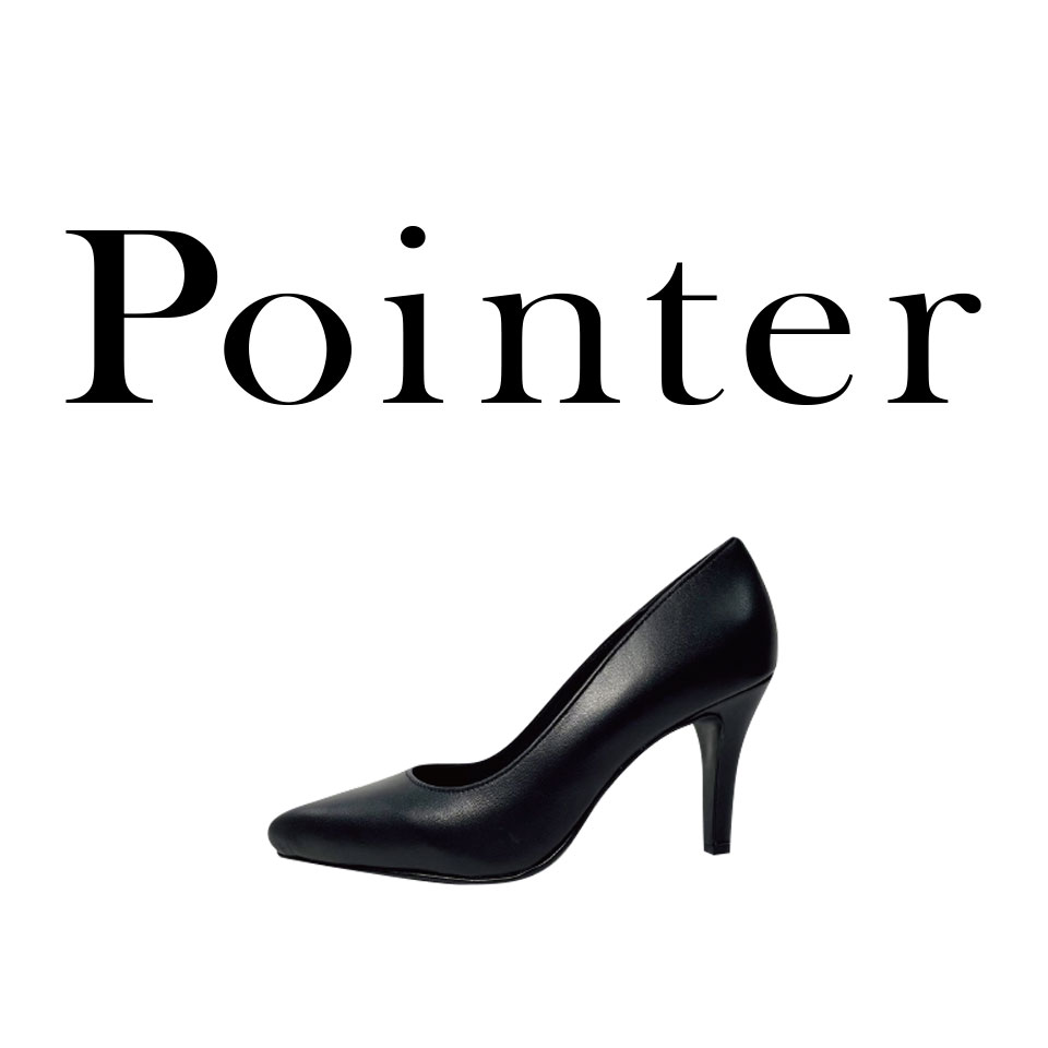 Pointer