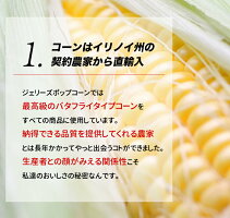 【お菓子詰め合わせ】スイーツポップコーンJPC48(ミニサイズ1LX合計48袋キャラメルチョコメープル等選べるフレーバー6種類X8)豆おやつスナック菓子パーティー景品粗品贈り物プレゼント内祝いお中元送料無料学園祭
