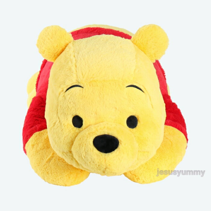 【東京ディズニーリゾート限定】 くまのプーさん Pooh ぬいぐるみ 抱き枕 枕 まくら 特大 Lサイズ 【DISNEY】【プレゼント包装不可】