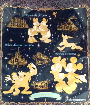 ディズニー ラッピング・プレゼント用 袋 Mサイズ ブルー ☆ギフト用に♪ ミッキー ミニー ドナルド デイジー 東京ディズニーリゾート限定【ネコポス対応】