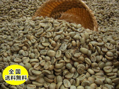 生豆コーヒーバリ アラビカ「神山」 800g：【RCP】【HLS_DU】