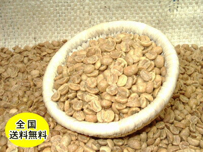 自分で焙煎！"白煎り豆"ブラジル サントスNO2 （500g)：