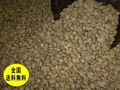 生豆コーヒーラオス・アラビカ 800g：【RCP】【HLS_DU】