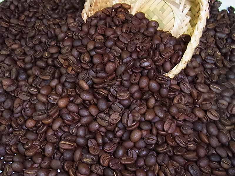 自家焙煎コーヒーコスタリカジャガー・ハニー(500g) コーヒー豆：