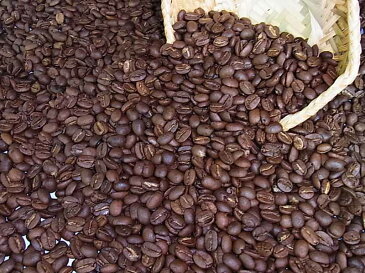 自家焙煎コーヒーキューバ TL(2kg入) コーヒー豆:【RCP】【HLS_DU】