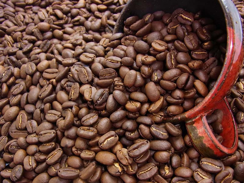 自家焙煎コーヒーバリアラビカ「神山」 (500g) コーヒー豆：【RCP】【HLS_DU】