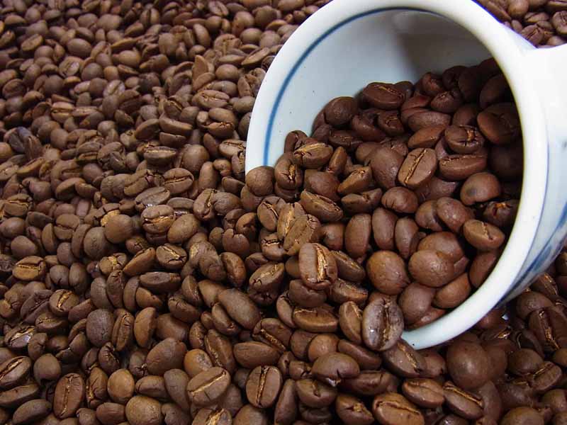 自家焙煎コーヒーエクアドル グレートマウンテン (2kg入) コーヒー豆：【RCP】【HLS_DU】