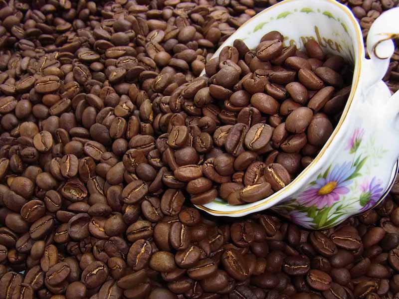 自家焙煎コーヒーガテマラSHB(500g) コーヒー豆：