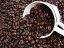 石焼焙煎コーヒー石焼キリマンジャロ (500g) コーヒー豆：【RCP】【HLS_DU】