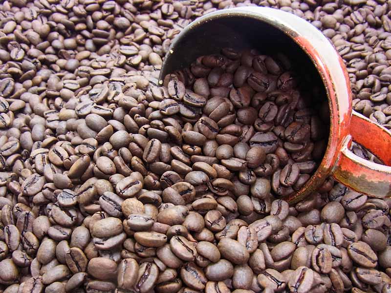 【カフェイン97%以上カット】自家焙煎 デカフェ カフェインレスコーヒー（コロンビア） (500g)コーヒー豆：【RCP】【HLS_DU】
