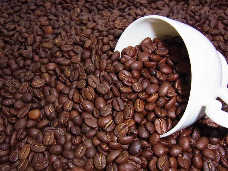 自家焙煎コーヒーコロンビアスプレモ (250g) コーヒー豆：