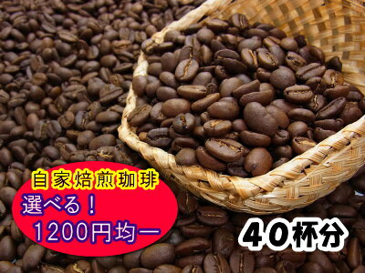 21種類から選べる！400g！オール1200円コーヒー自家焙煎 コーヒー豆：【RCP】【HLS_DU】