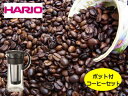 選べる!アイス(深煎り)コーヒー1.5kgとハリオ水出し珈琲ポットミニ 黒(600ml)MCPN-7-Bコーヒー豆:【RCP】【HLS_DU】