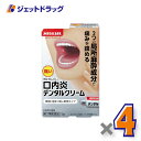 【第2類医薬品】デンタルクリーム 5g ×4個