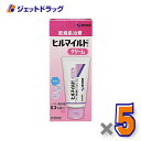 【第2類医薬品】ヒルマイルドクリーム 100g ×5個