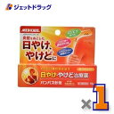 【第2類医薬品】パンパス軟膏 15g ×1個〔日やけ・やけど〕