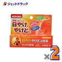 【第2類医薬品】パンパス軟膏 15g ×2個〔日やけ・やけど〕
