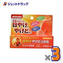 【第2類医薬品】パンパス軟膏 15g ×3個〔日やけ・やけど〕