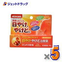 【第2類医薬品】パンパス軟膏 15g ×5個〔日やけ・やけど〕