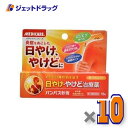 【第2類医薬品】パンパス軟膏 15g ×10個〔日やけ・やけど〕